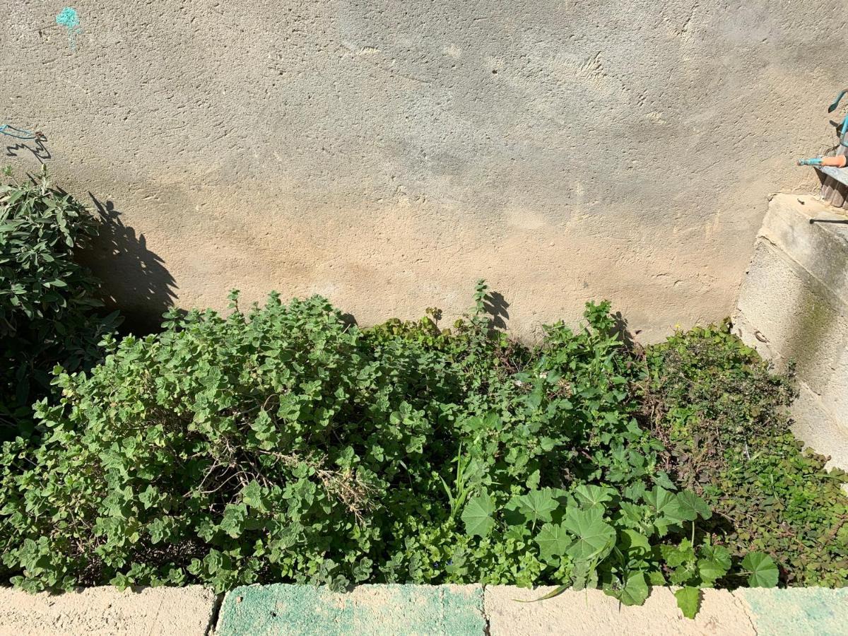 Khan Alsira - חאן אלסרה Exterior foto